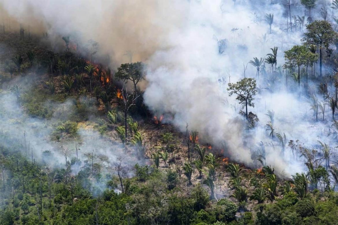 incendio en Amazonas