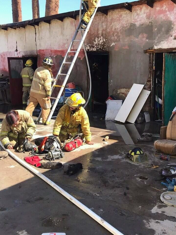 BOMBEROS RESCATAN A CACHORROS EN INCENDIO