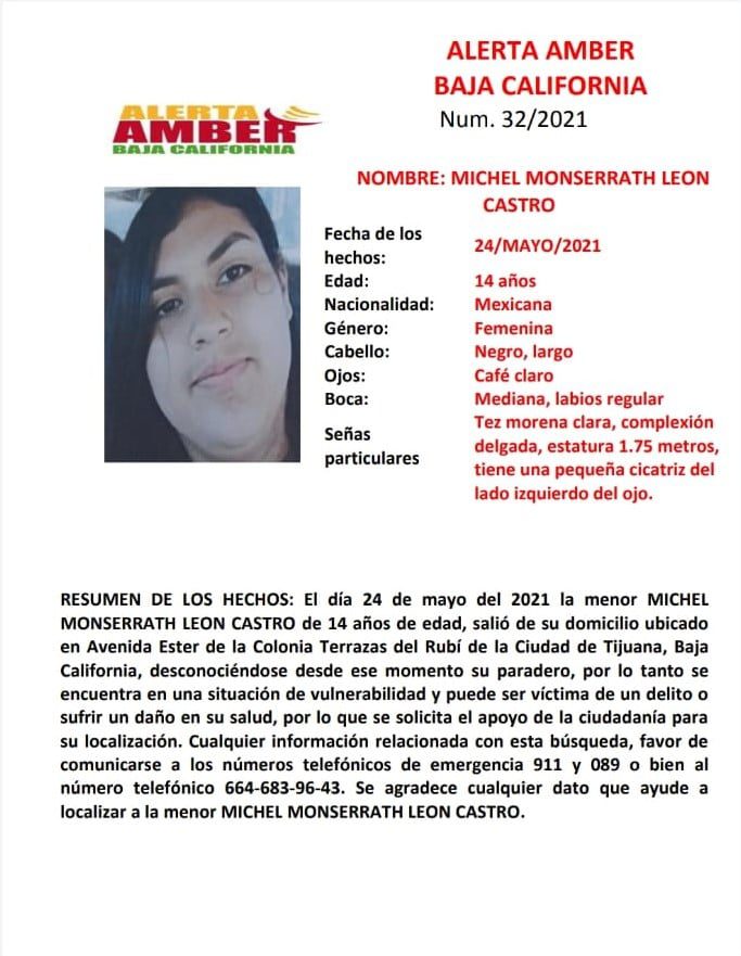 ALERTA AMBER; BUSCAN A MICHEL LEóN CASTRO DE 14 AñOS