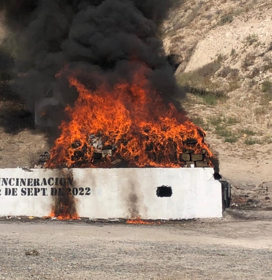 FGR INCINERA CERCA DE CUATRO TONELADAS DE DIVERSAS DROGAS