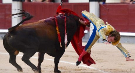 Torero sufre brutal cornada en Feria de San Isidro