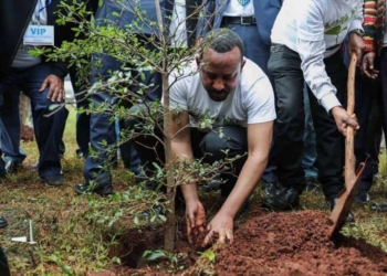 abiy ahmed participando en la green legacy iniciativ twitter