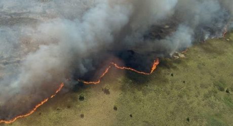 Se incendian 600 hectáreas de reserva de biosfera Sian Ka'an