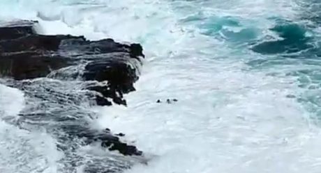 Por tomar selfie, pareja es arrastrada por olas gigantes