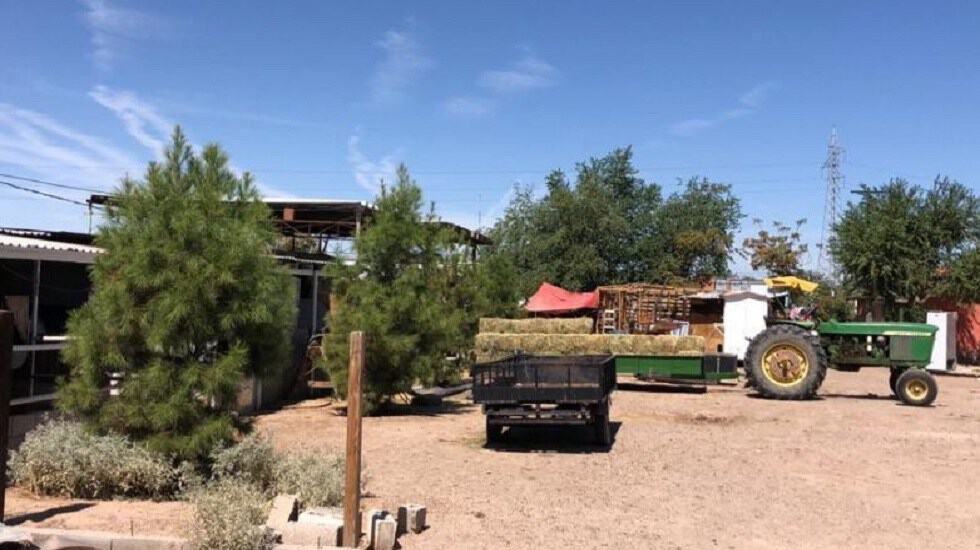 Comando armado asesina a tres niñas en rancho de Ciudad Juárez