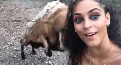 Por una selfie chica es tremendamente golpeada por una cabra