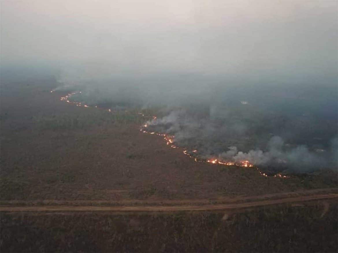 incendio en Amazonas