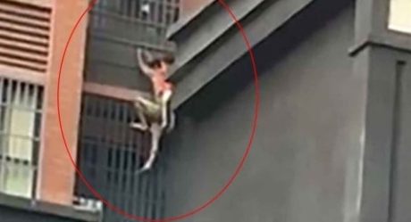 [VIDEO] Al estilo Spider Man un hombre salva a su sobrino de incendio