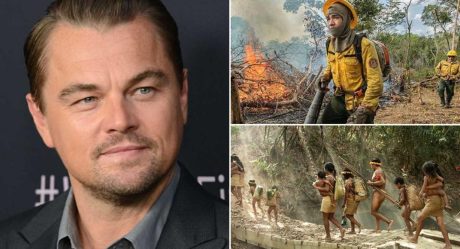 Dona Leonardo DiCaprio 5 MDD para salvar el Amazonas