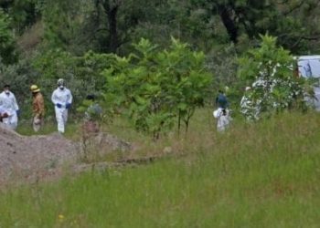 cropped fosa zapopan 11092019 600x274