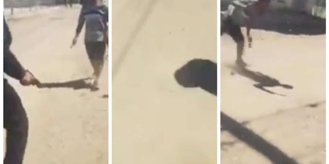 inCollage 20190920 163646858