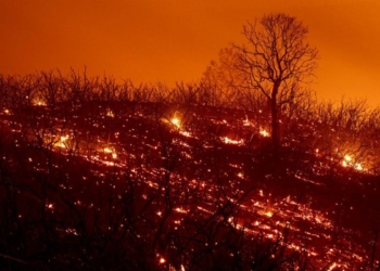 Fuerte-incendio-azota-al-norte-de-California