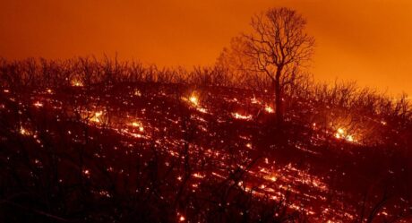 Fuerte incendio azota al norte de California