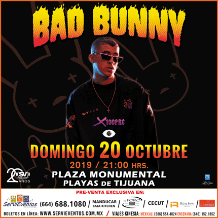 bad bunny