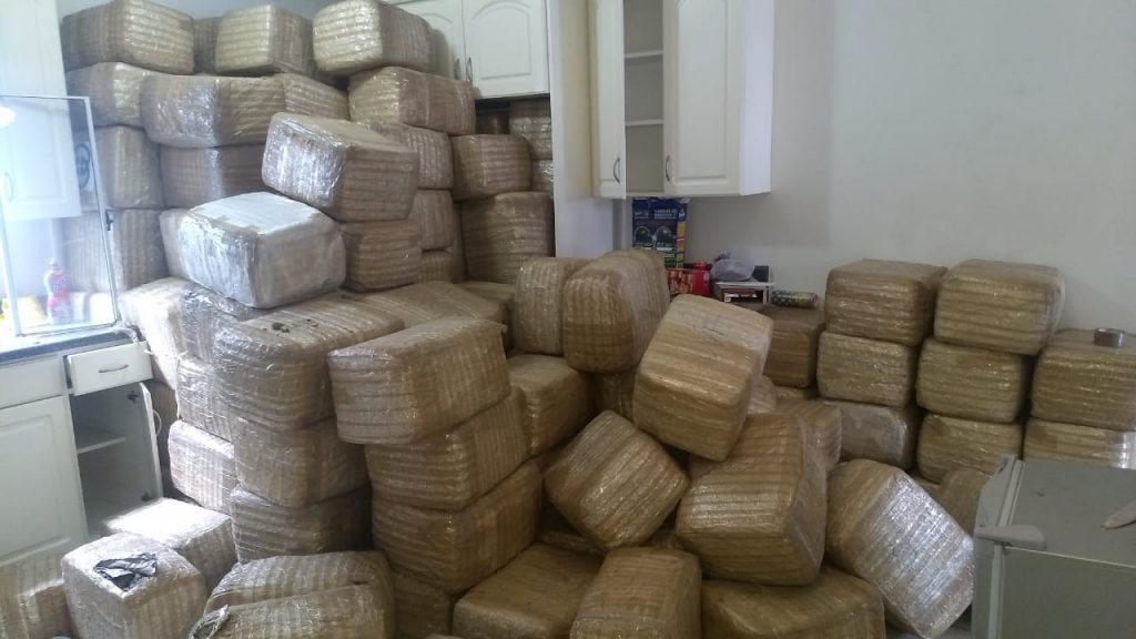 Hallan casi dos mil kilos de marihuana en vivienda de Tijuana