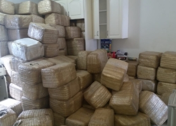 Hallan casi dos mil kilos de marihuana en vivienda de Tijuana