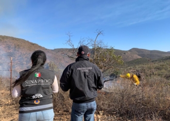 Incendios en Baja California