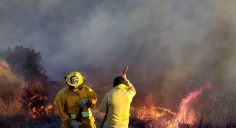 Declaran zona de desastre a dos municipios de BC por incendios