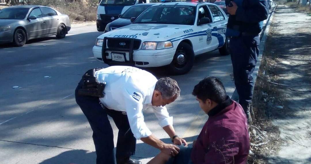 Perro escapa causa accidente y caos vial