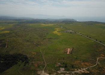 Detonará nuevo Aeropuerto comercio y turismo en Valle de Guadalupe