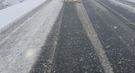 Abren autopista a La Rumorosa