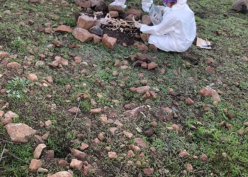 Familiares de desaparecidos hallan más restos humanos en Tijuana