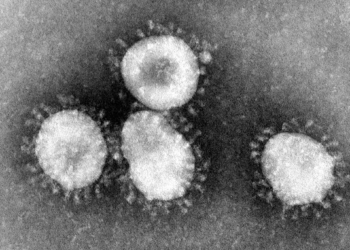 Ya son 251 casos confirmados de coronavirus en México