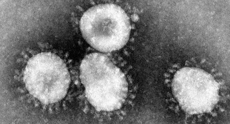 Descubren nuevo virus que se contagia de humano a humano