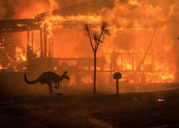 incendios Australia