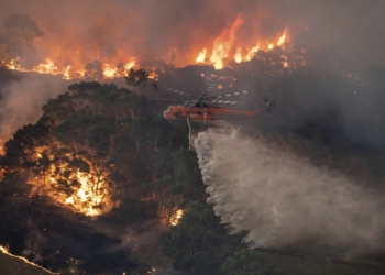 Incendios devastadores en Australia