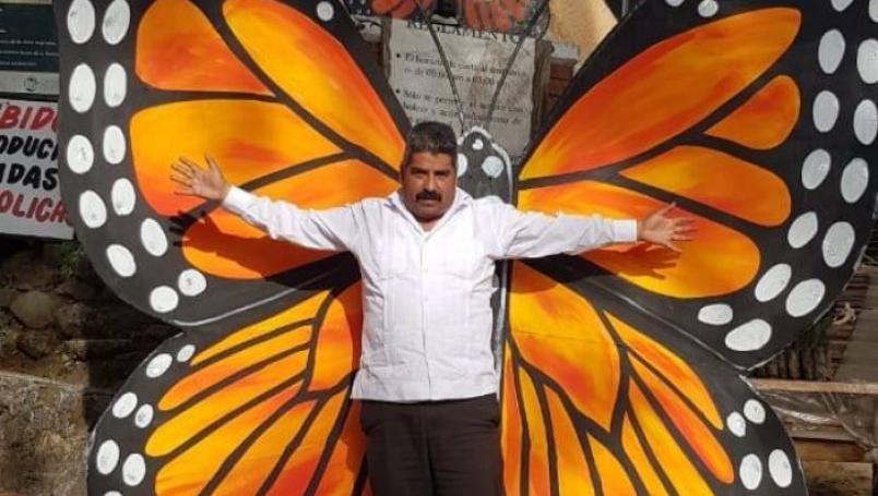 desaparición de defensor de la mariposa monarca