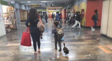 Niño pasea a su pata en el metro y se vuelve sensación