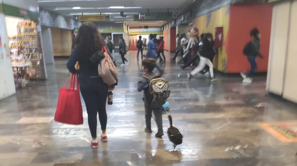 Niño pasea a su pata en el metro y se vuelve sensación