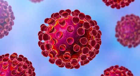 Científicos logran secuenciar genoma completo de coronavirus