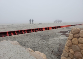 Encuentran cadáver en la orilla de la playa