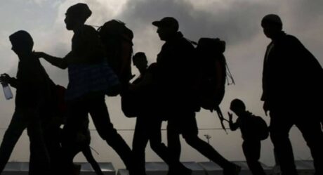 EU reactiva deportación de migrantes pese a crisis por coronavirus