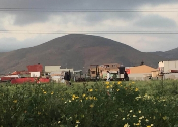 Esta tarde se localizó el cadáver de una jovencita de entre 20 a 25 años entre la maleza de un lote baldío.