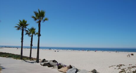 Ya tomaron una determinación sobre las Playas de San Diego