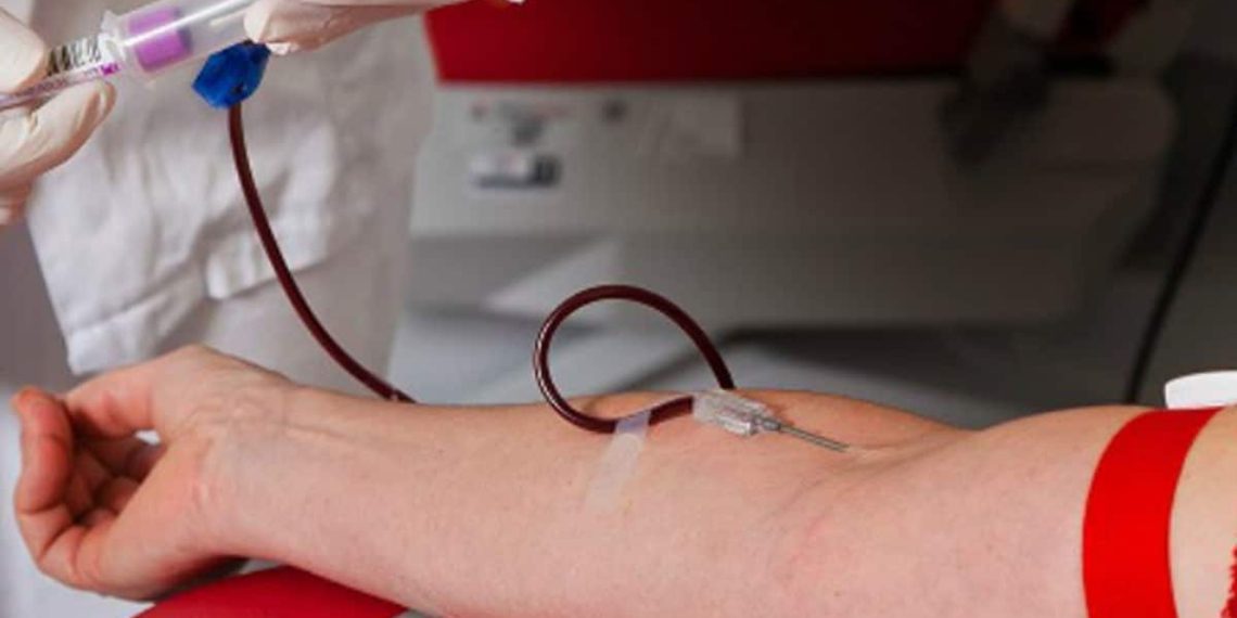 Uso de plasma de personas curadas de coronavirus está en análisis