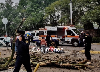 Mujer sale de casa en su bici y le cae un árbol encima