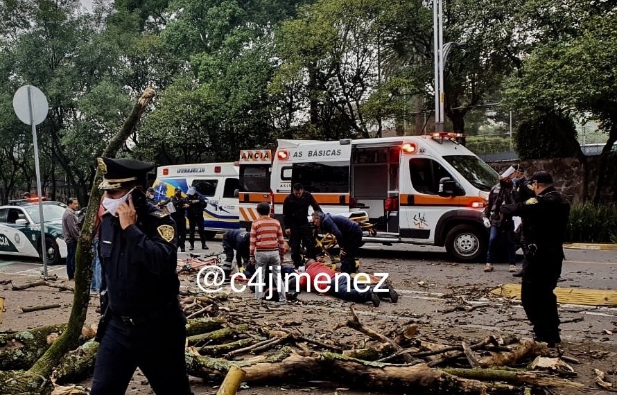 Mujer sale de casa en su bici y le cae un árbol encima