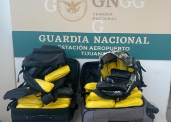 Detienen a pareja Aeropuerto de Tijuana, viajaban con varios kg de droga