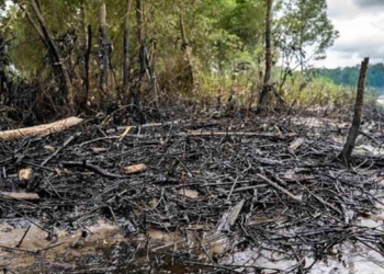 Derrame de crudo deja a miles sin agua y comida