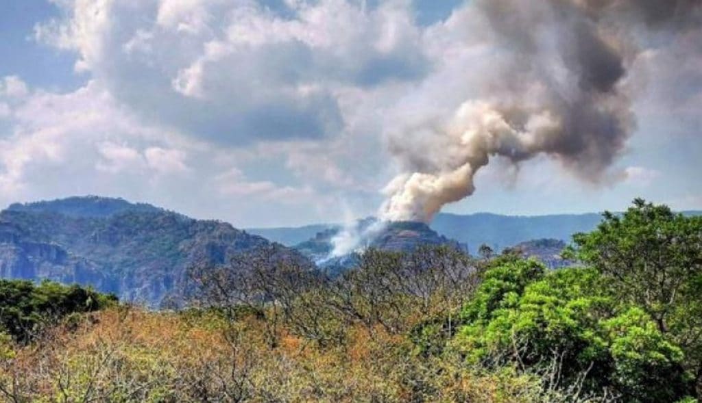 Intenta hacer Tiktok y provoca incendio forestal