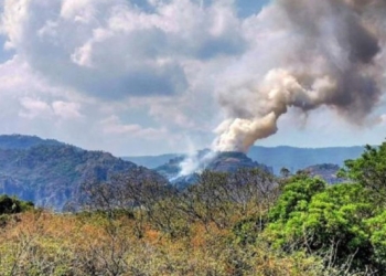 Intenta hacer Tiktok y provoca incendio forestal