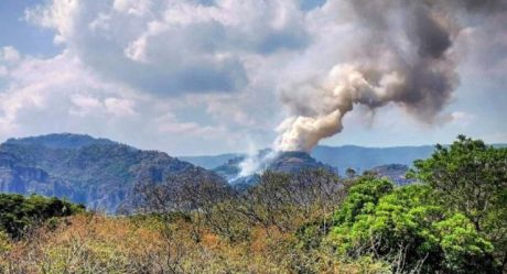 Intenta hacer Tiktok y provoca incendio forestal