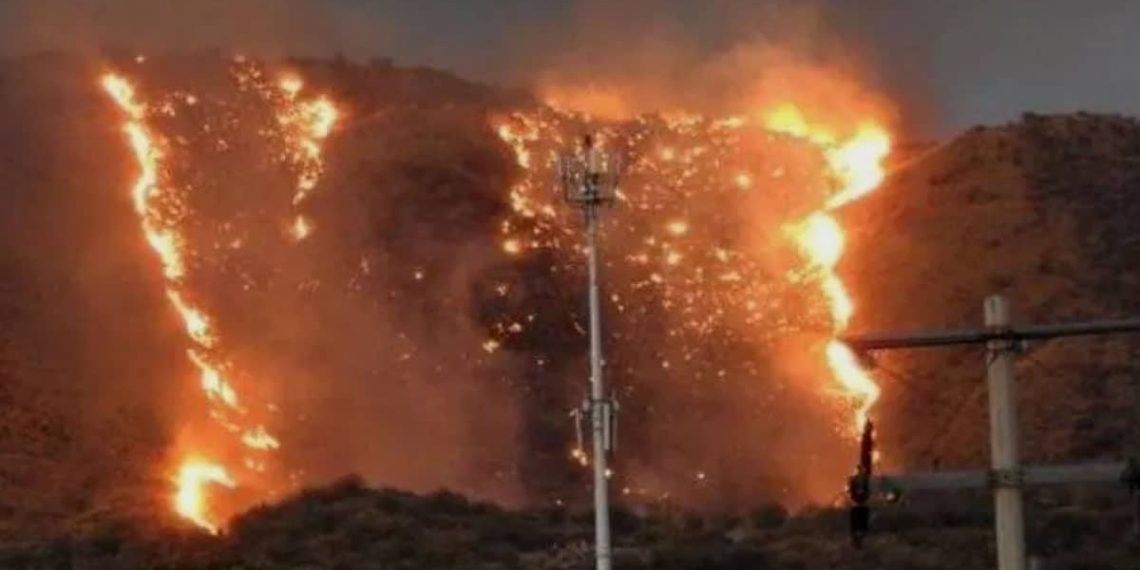 Voraz incendio en el cerro del Bachoco