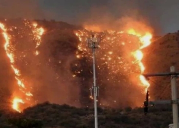 Voraz incendio en el cerro del Bachoco