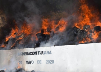 Incineran varias toneladas de drogas en Tijuana