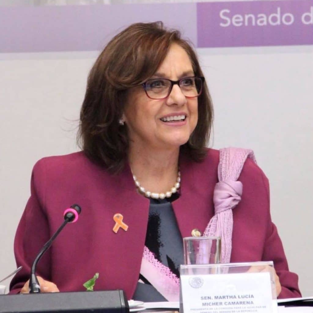 senadora-habla-tras-aparecer-desnuda-en-conferencia-de-zoom